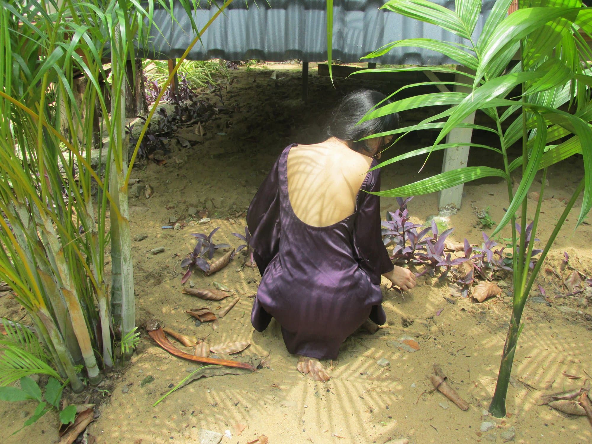 A woman kneeling in a sandy garden in a plum satin dress, its low back bared to dappled light.